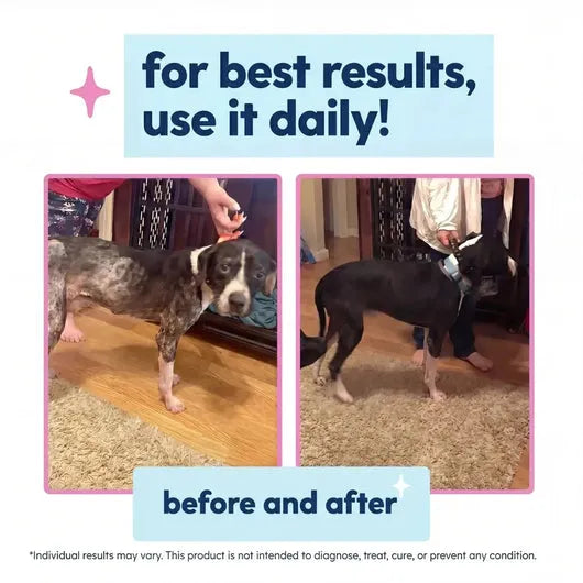 Aludol Premium Collagen Liquid Drops