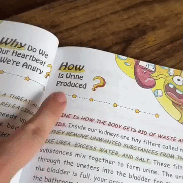 The Wonderful Whys: Building The Genius Foundation For Your Child's Brain