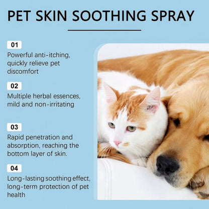 Aludol Antiseptic Instant Relief Spray