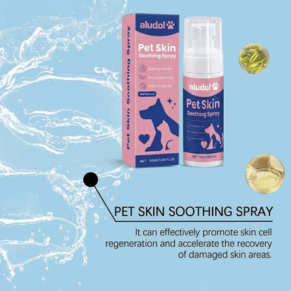 Aludol Antiseptic Instant Relief Spray