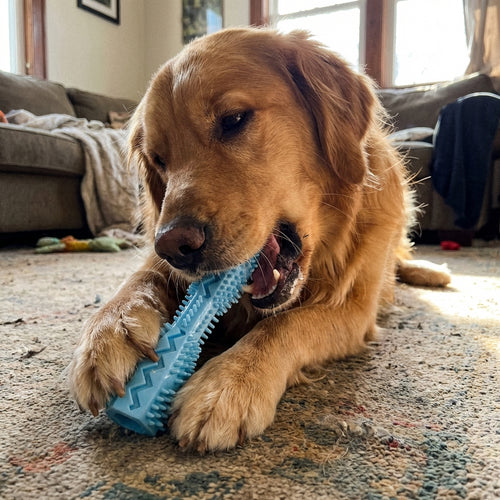 Aludol Soothe-Bite Relief Device